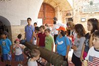 _dsc4453_10697117974_o