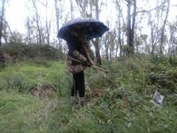 29663878-86f3-4554-9ec4-db7b0670e912 - copia