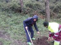 69195b9c-454e-42bc-93b7-df7d02ef2174 - copia